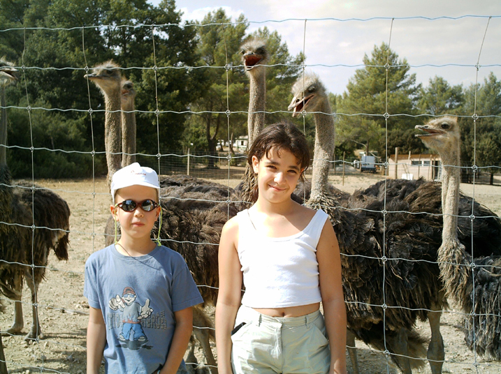 2004-08 Autruches 004.jpg